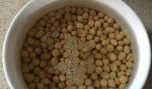 榨芝麻豆浆,探索传统与现代交融的榨芝麻豆浆新体验